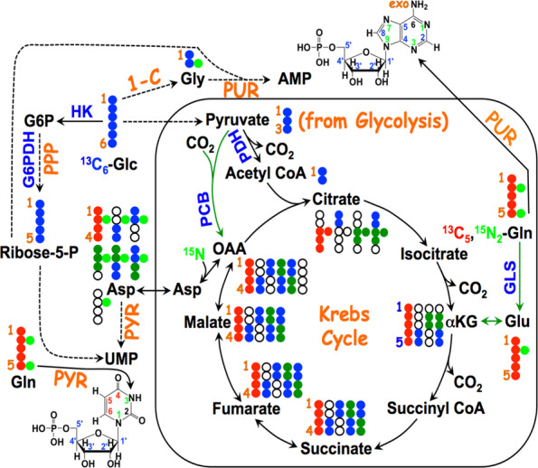 Figure 5.