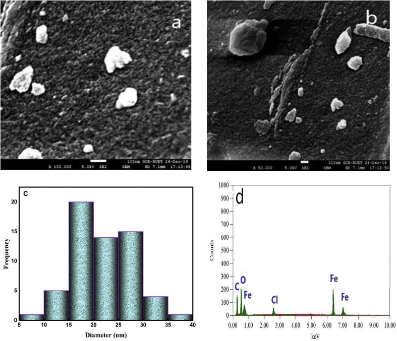 Figure 4