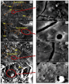 Figure 21
