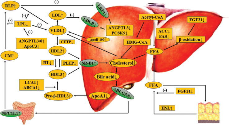 FIGURE 1