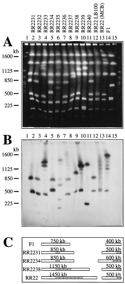 FIG. 6