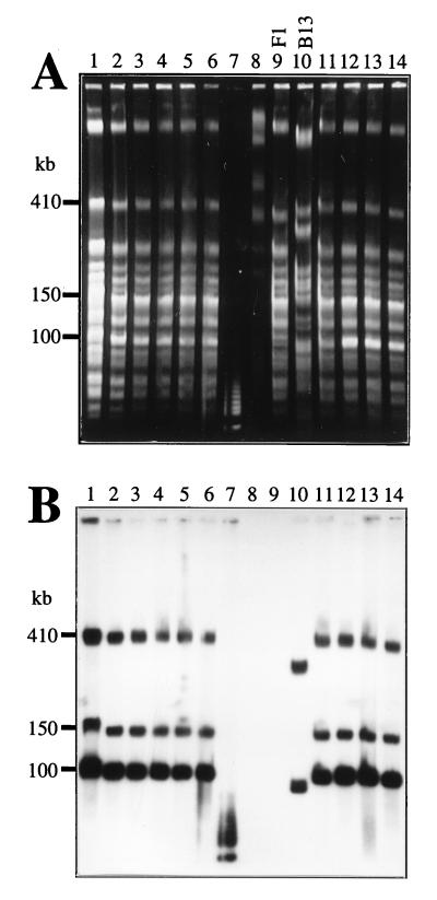 FIG. 1