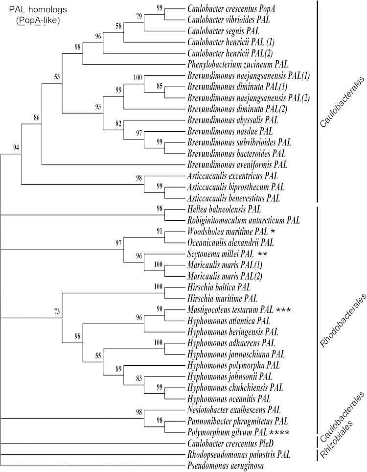 FIG 2