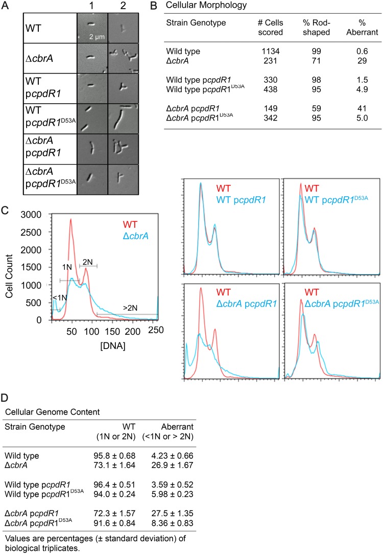 FIG 6