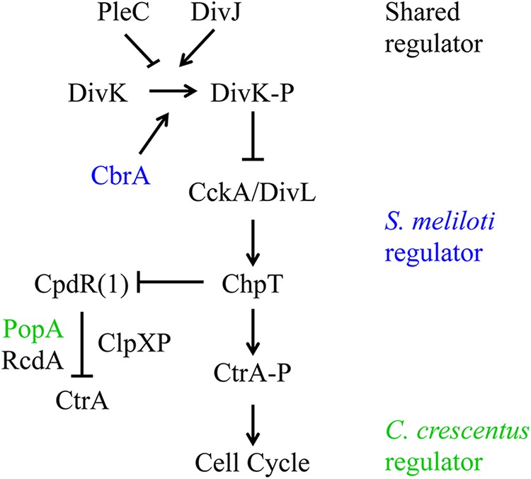 FIG 1