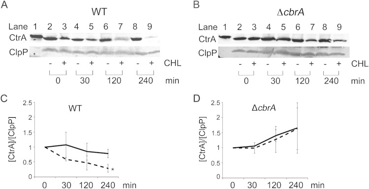 FIG 3