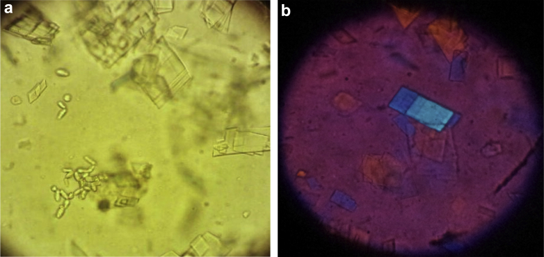 Figure 3