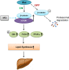 Figure 5