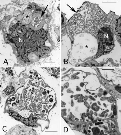 FIG. 4.