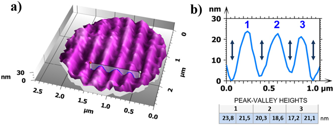 Figure 6