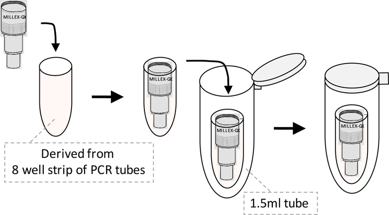 Easi-CRISPR protocol for creating knock-in and conditional knockout ...