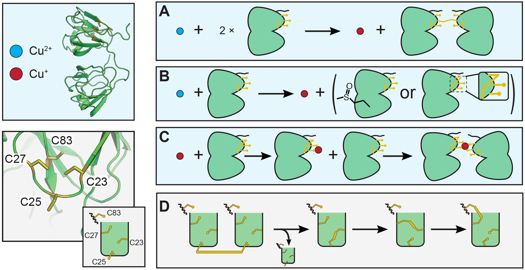 Figure 10: