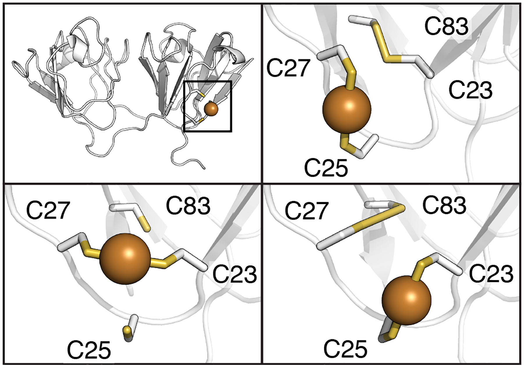 Figure 11: