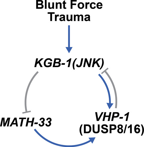 Fig. 8