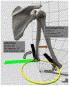 Fig. 6: