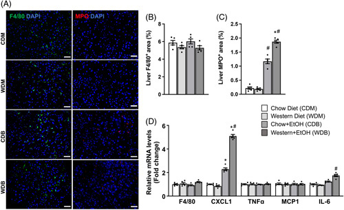 FIGURE 4