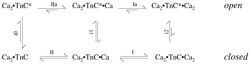 Scheme 3