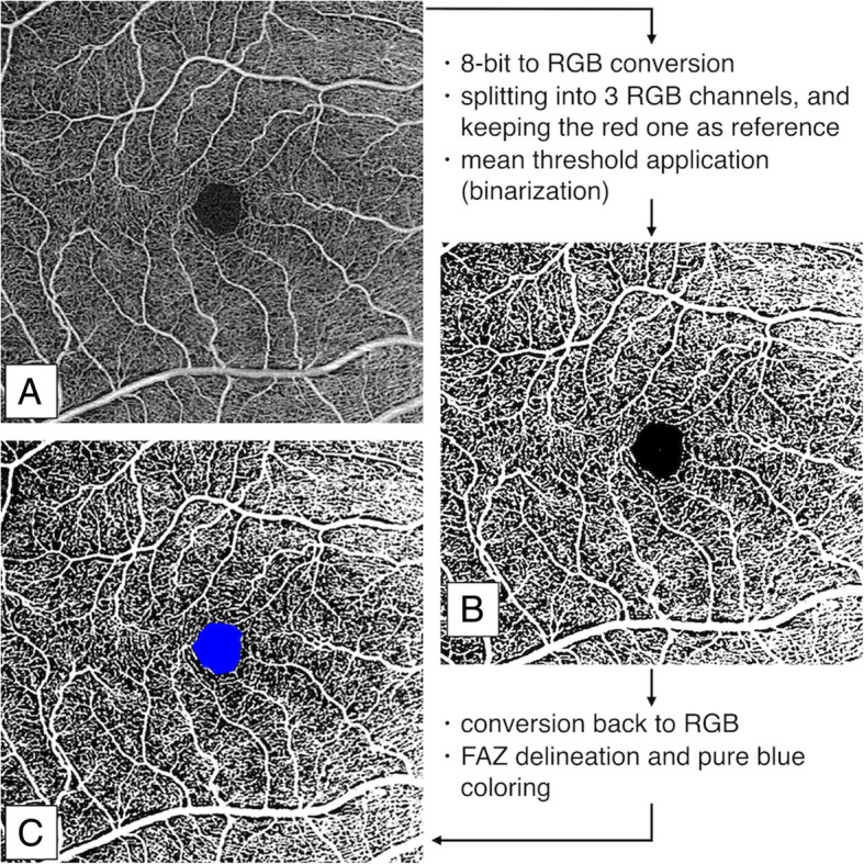 Fig. 2