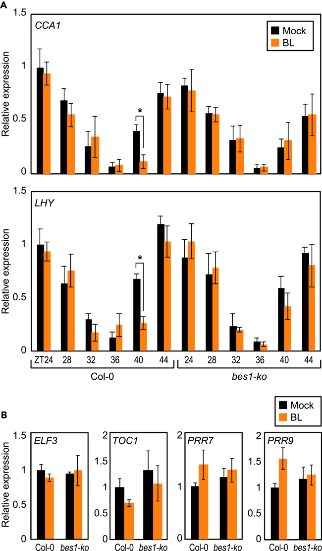 Figure 3