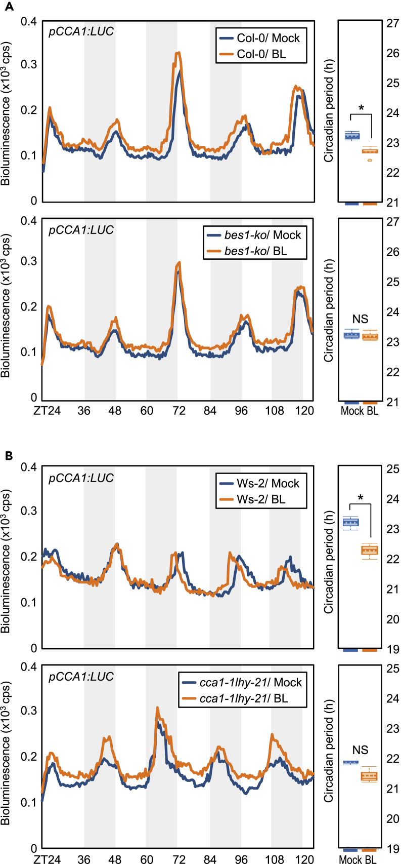 Figure 4