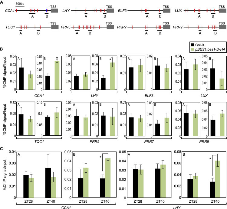 Figure 2