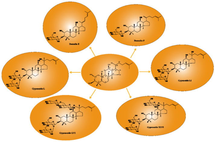 Figure 5
