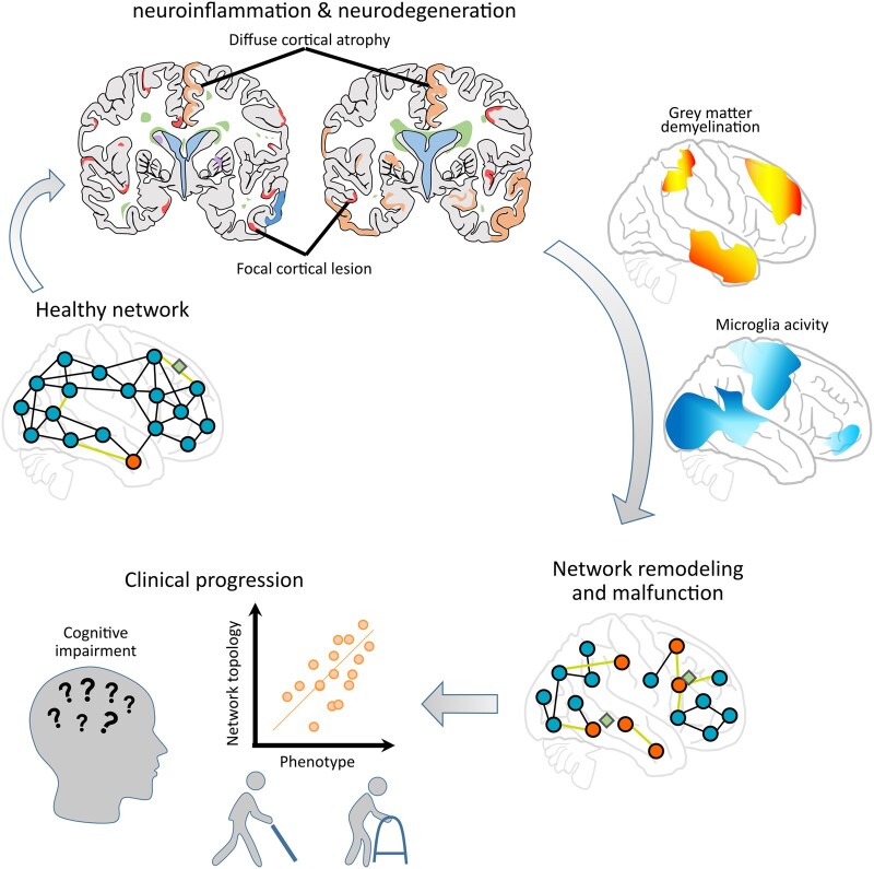 Graphical Abstract