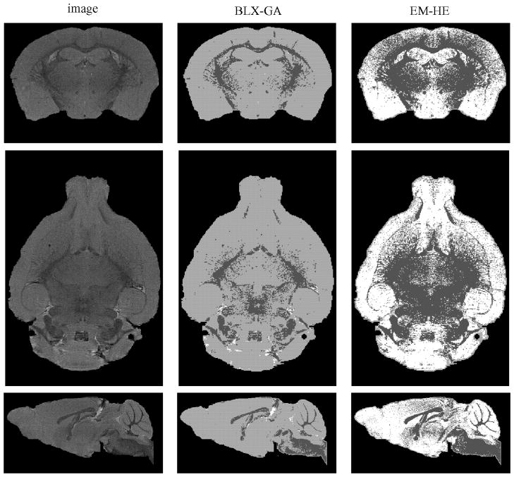 Fig. 8