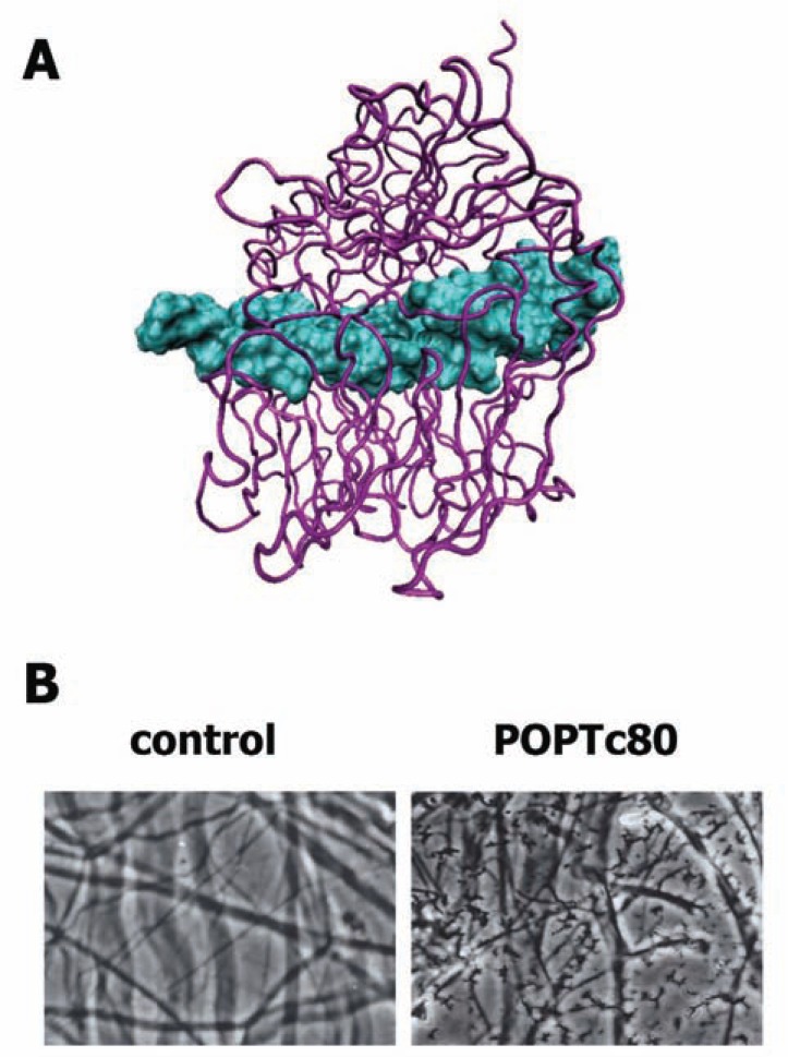 Fig. (3)