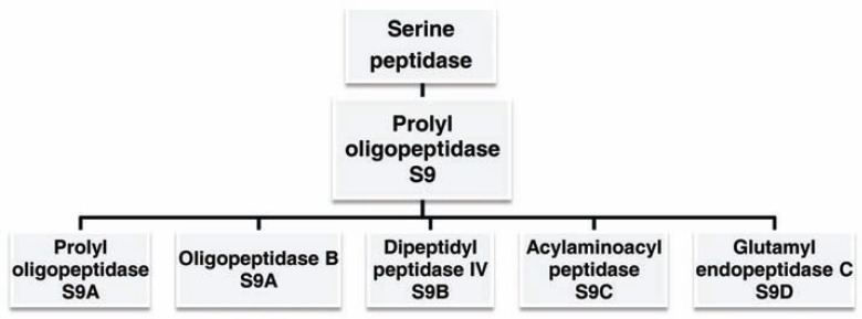 Fig. (1)