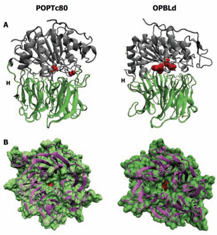 Fig. (2)