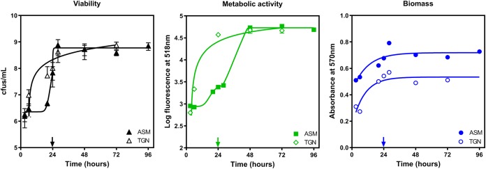 FIG 2