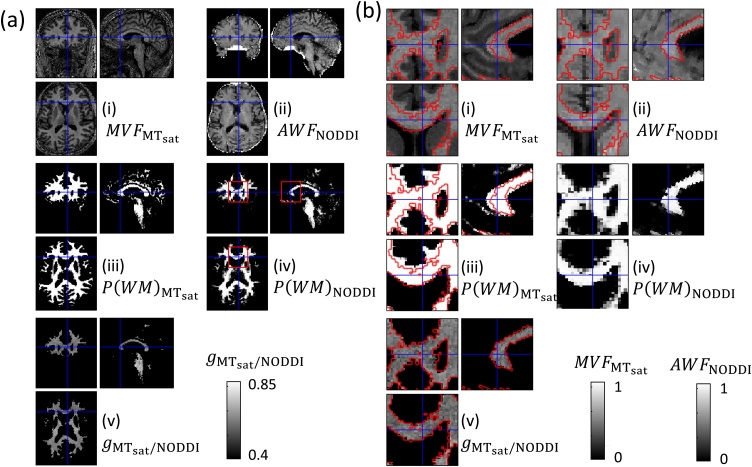 Fig. 8