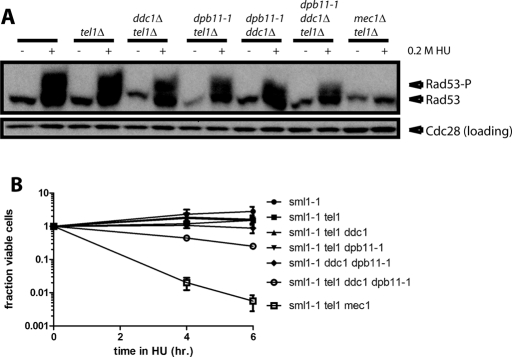 FIGURE 3: