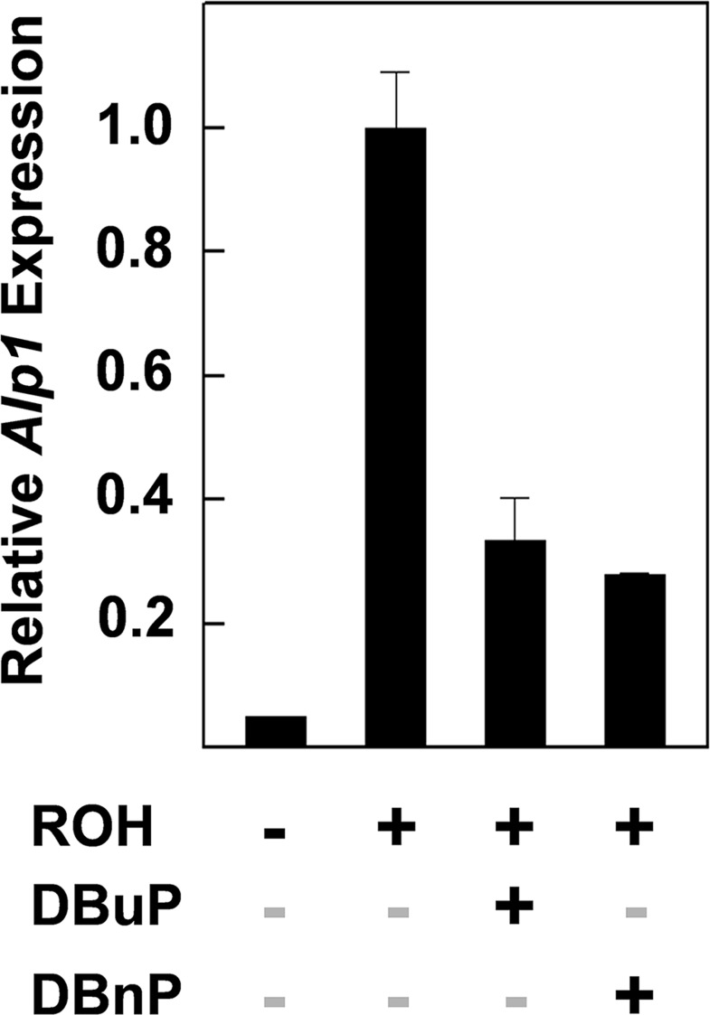 Fig 6