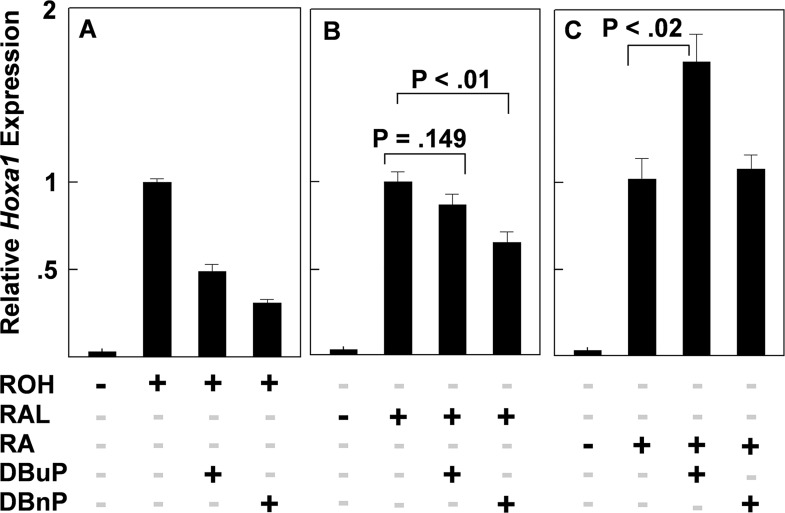 Fig 5