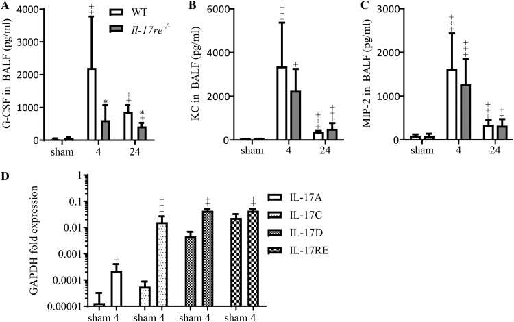 FIG 2