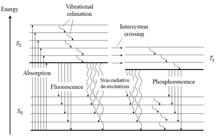 Figure 30