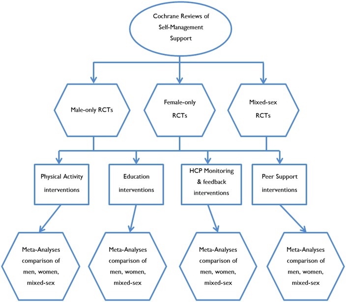 Figure 1