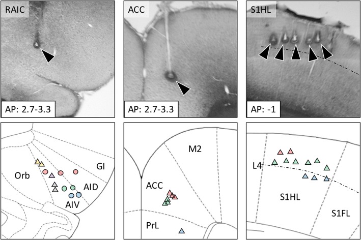 Fig. 6