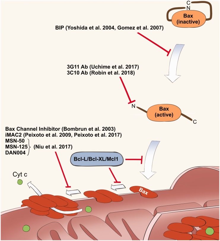 Figure 3.