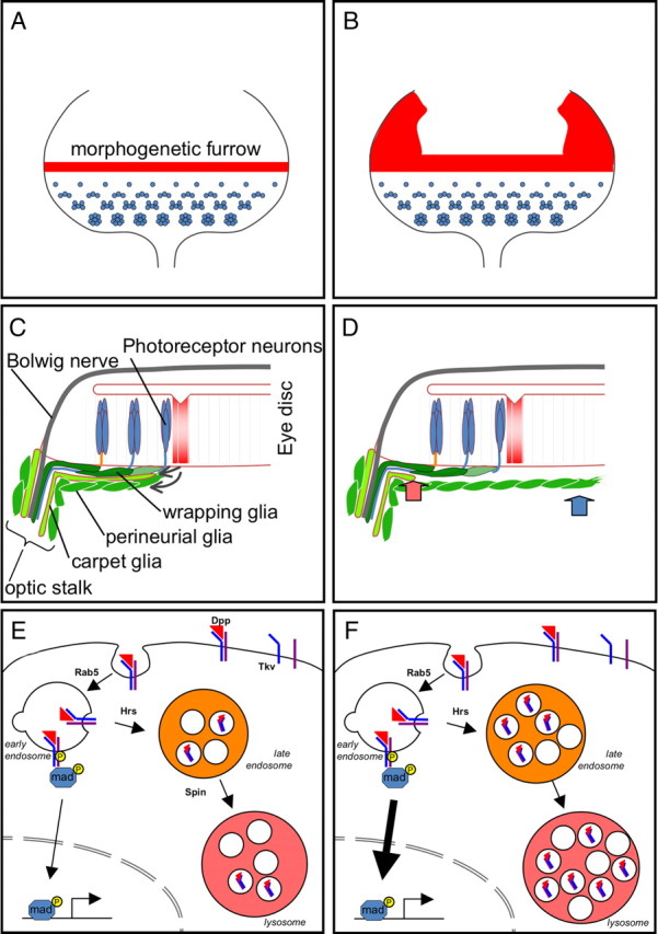 Figure 9.