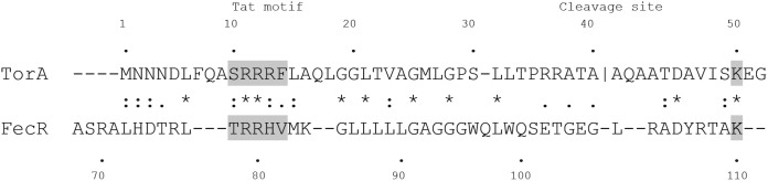 FIG 2