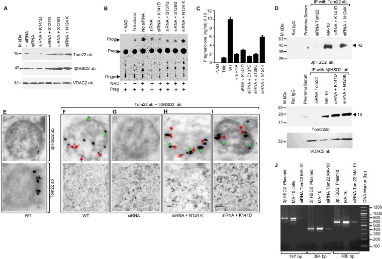 FIG 6