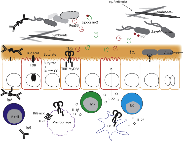 Figure 2