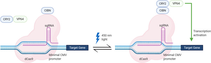 Fig. 1