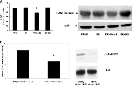 Fig. 9.