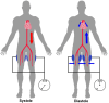 Fig. (1)