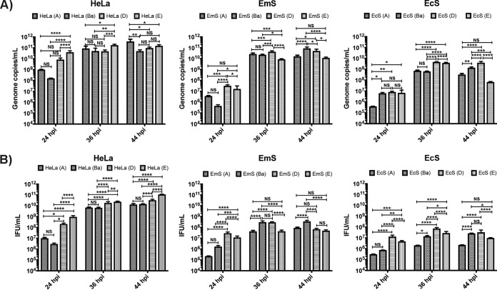 FIG 3