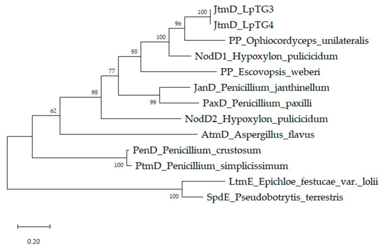 Figure 2